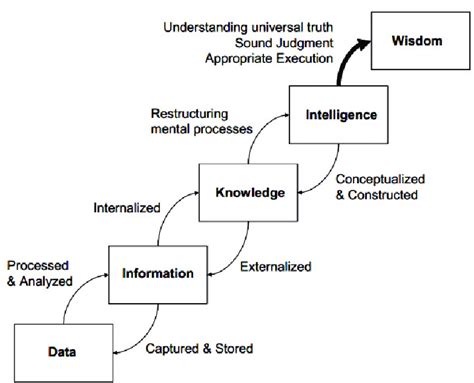 Data Information Knowledge Wisdom Pyramid 的图像结果