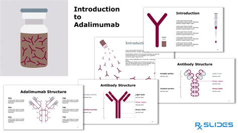 Download Adalimumab PowerPoint Template| RxSlides