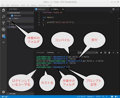 Raspberry Pi C Programming 的图像结果