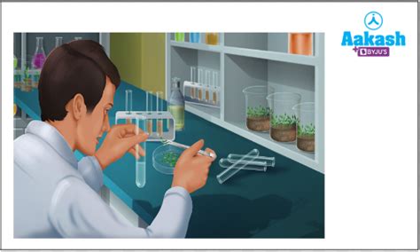 Tissue Culture: Definition, Steps, Applications & Micropropagation | AESL