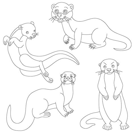 Seeotter Clipart Wassertiere und Meerestiere Clipart | Premium Vektor