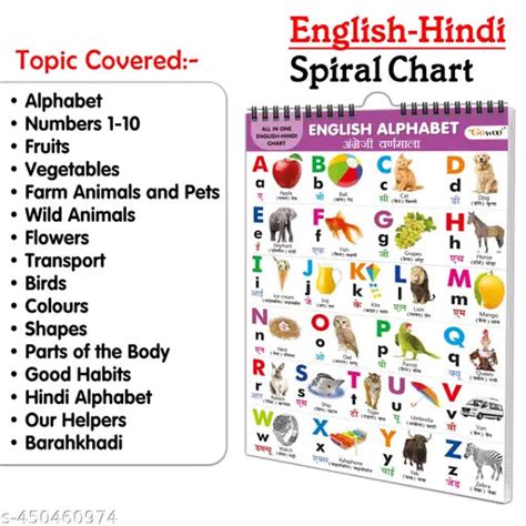 ENGLISH-HINDI Chart For Kids (16 Charts ) 36 x 50 cm - Children Spiral ...