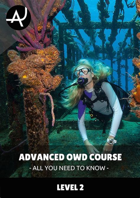 Image result for Second Class Diver Course