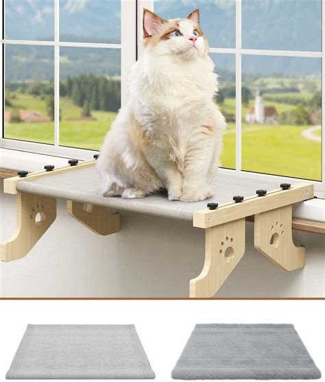 Amazon.com : Cat Window Perch, Airsfish 2 in 1 Cat Window Perch & Cat ...