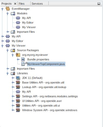 Image result for Get Selection in Java NetBeans