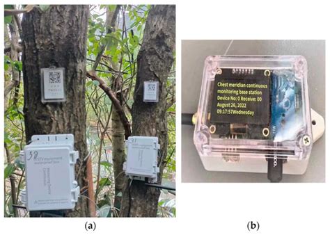Development of a Real-Time Continuous Measurement System for Tree ...