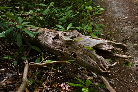 Weekend at Laurelville Retreat Center – Jonathan Hrovath Photography