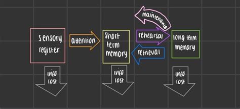 Image result for Transactive Memory Quizlet