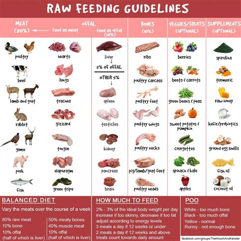 Recipes Raw Food Diet For Dogs | Makanan anjing, Pitbull, Diet