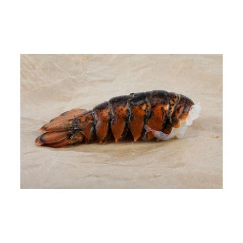 Frozen spiny lobster tails (p argus) / American Lobster tail/ green ...