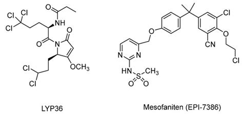 Natural Products Targeting the Androgen Receptor Signaling Pathway ...