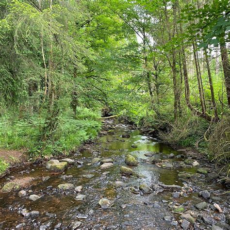 BALLYHOURA WALKING TRAILS (2026) All You Need to Know BEFORE You Go ...