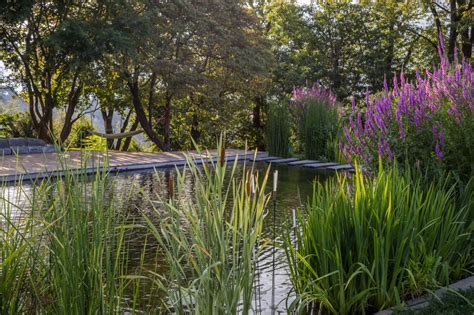 River Pool 的图像结果