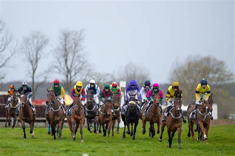 High Easter Racing Club Point-to-Point, High Easter Point To Point ...