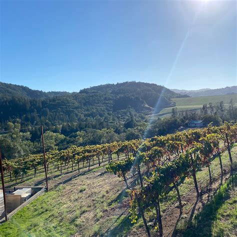 SBRAGIA FAMILY VINEYARDS (2026) All You Need to Know BEFORE You Go ...