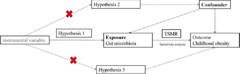 Image result for Introduction to Mendelian Randomization