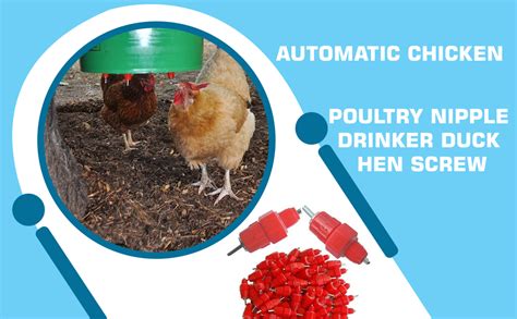 PRAISH A&S Automatic Chicken Water Feeder and Poultry Nipple Drinker ...
