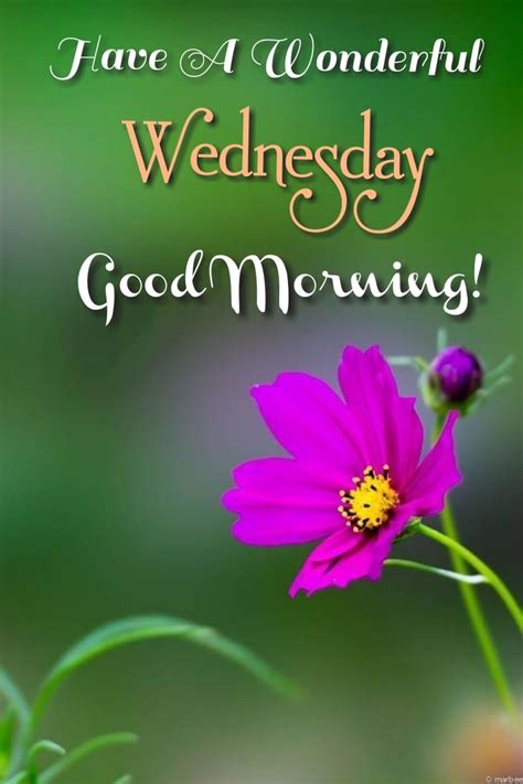Good Morning Wednesday Images