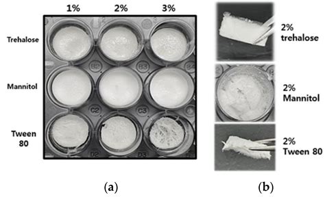 Stability Enhancement of Freeze-Dried Gelatin/Alginate Coacervates for ...