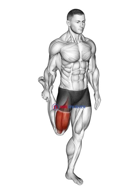 Standing Balance Quadriceps Stretch - Home Gym Review