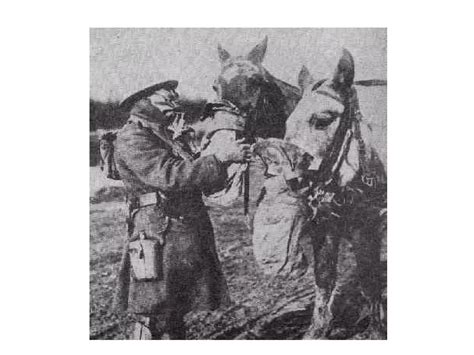 Technology Inwwi 的图像结果