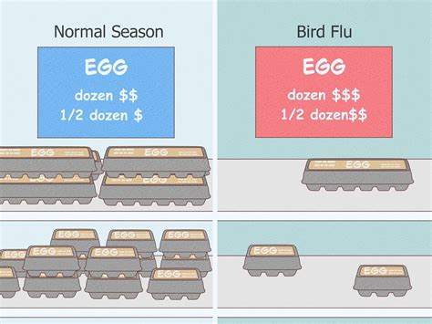 How Does Bird Flu Spread to Humans? What You Need to Know