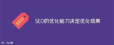 网站优化seo教程（网站SEO优化方案该怎么写）-8848SEO