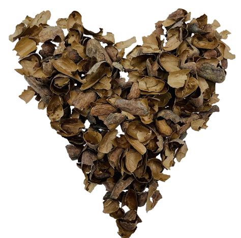 Té de Cáscara de Cacao Orgánico – Sacred bean