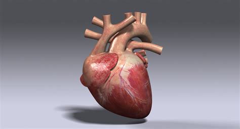 Image result for Heart with Name Using Python