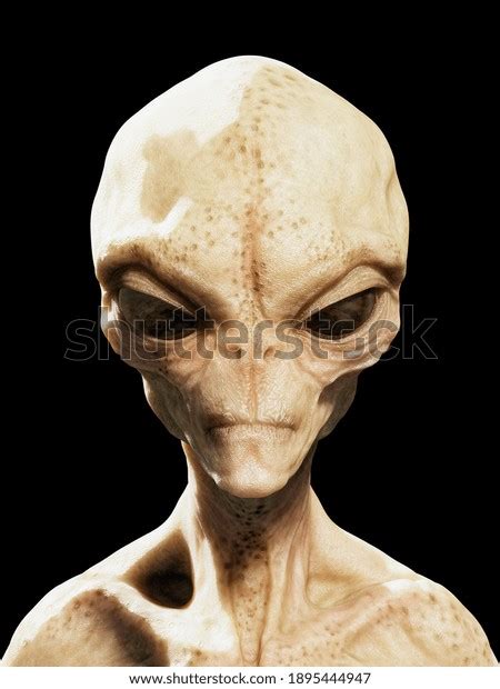 Image result for Alienware Alien Head