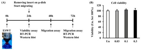 Extracorporeal Shock Wave Therapy Alters the Expression of Fibrosis ...