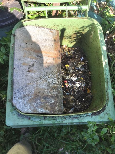 Basement Worm Farm 的图像结果