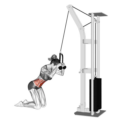 Cable Knee Crunch: Benefits, Muscles Worked, and More - Inspire US