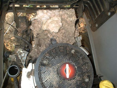 Image result for Intek Engine Problems