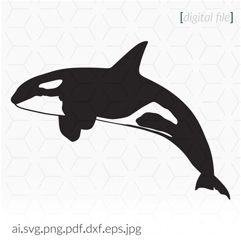 Orca SVG: Whale Clip Art for Cutting Projects (digital Download) - Etsy