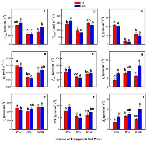 Functional and Structural Leaf Plasticity Determine Photosynthetic ...