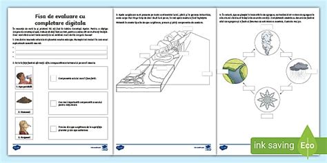 Evaluare Pământul, mediu de viață – Științe clasa a III-a