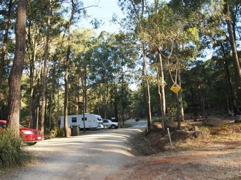 TAMBORINE MOUNTAIN CARAVAN AND CAMPING - Campground Reviews & Photos ...