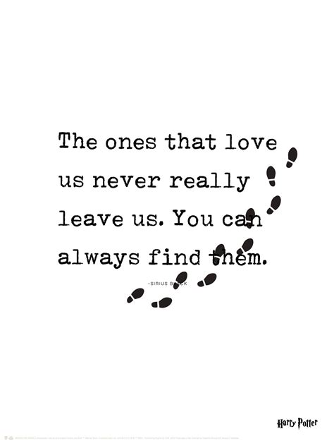 Harry Potter™ - You Can Always Find Them Poster, Hogwarts Poster Sirius ...