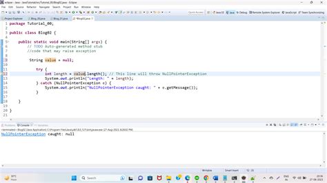 Null Pointer in Java 的图像结果