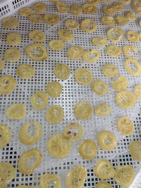 Drying Machine 的图像结果