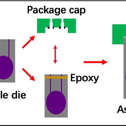 Image result for Shell Case Microchip Packaging