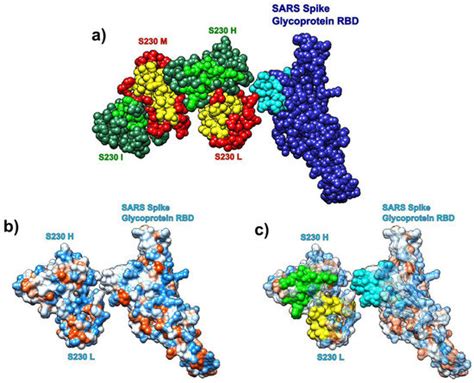 Biomolecules | September 2020 - Browse Articles