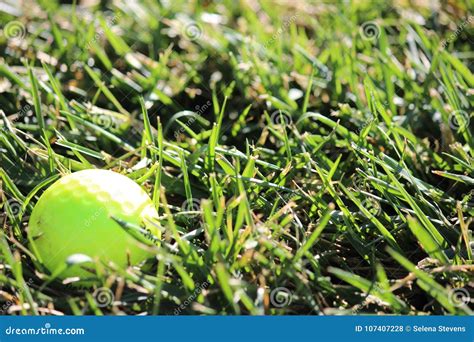 Yellow Practice Golf Ball stock photo. Image of sport - 107407228