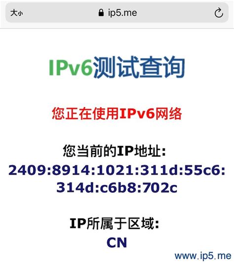 IPv6 Test——在线测试你是否在用IPv6网络-我的笔记