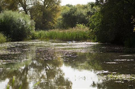 THE 5 BEST Places to Visit in Henfield (2026) - Must-See Attractions