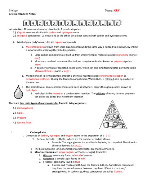 Building Macromolecules Answer Key - Biology Name: KEY Life Substances ...