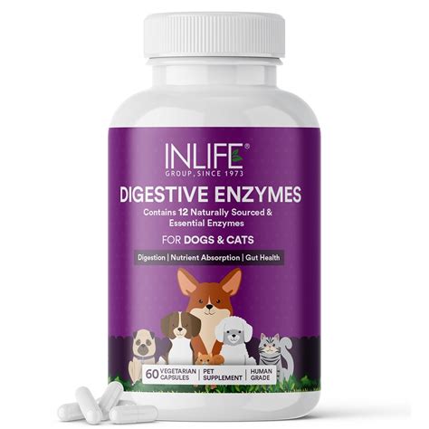 INLIFE Digestive Enzymes for Dogs Cats and Pets | Contains 12 Naturally ...