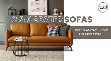 Spice Up Your Living Space With Our 2 Seater Sofa – Homestolife.in