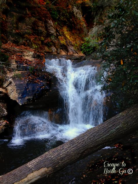 Hiking to Dukes Creek Falls - Southern Pinning
